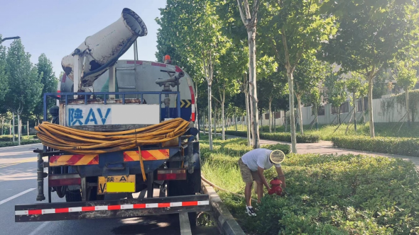 1731379769940975.jpg 1731379847489.jpg